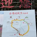 黄山旅游 缩略图 11