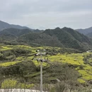 黄山旅游 缩略图 10
