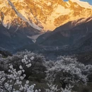 阿坝旅游 缩略图 10