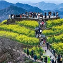 黄山旅游 缩略图 9