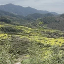 黄山旅游 缩略图 14