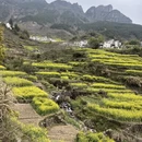 黄山旅游 缩略图 12