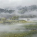 黄山旅游 缩略图 1