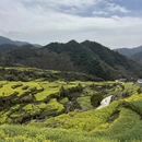 黄山旅游 缩略图 13