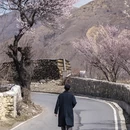 甘孜旅游 缩略图 2