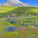 阿坝旅游 缩略图 2