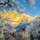 阿坝旅游 缩略图 1