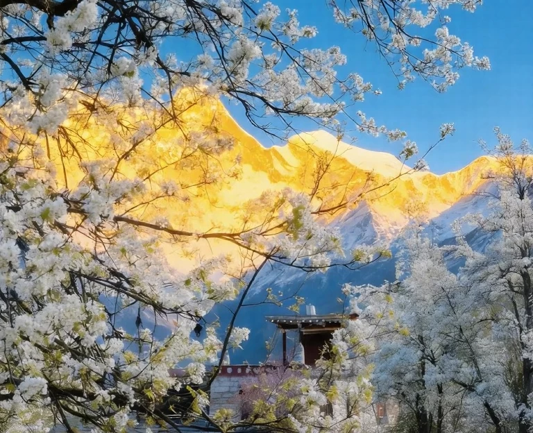 阿坝旅游 1