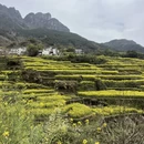 黄山旅游 缩略图 1