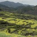 黄山旅游 缩略图 2