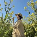 黄山旅游 缩略图 6