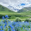 阿坝旅游 缩略图 5