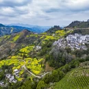 黄山旅游 缩略图 2