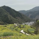 黄山旅游 缩略图 3