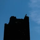 成都旅游 缩略图 8
