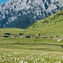 阿坝旅游 缩略图 6