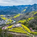 黄山旅游 缩略图 3