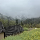 黄山旅游 缩略图 7