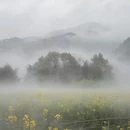 黄山旅游 缩略图 2