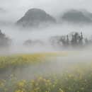 黄山旅游 缩略图 3