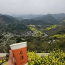 黄山旅游 缩略图 13