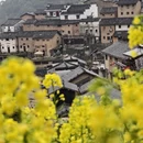 黄山旅游 缩略图 14