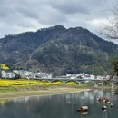 黄山旅游 缩略图 15