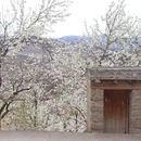 成都旅游 缩略图 4