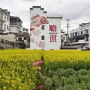 黄山旅游 缩略图 17