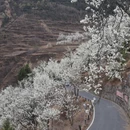 成都旅游 缩略图 5
