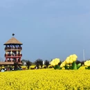 芜湖旅游 缩略图 1
