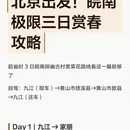 黄山旅游 缩略图 2
