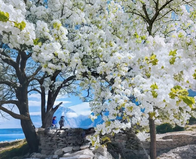 阿坝旅游 1
