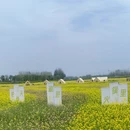 芜湖旅游 缩略图 4