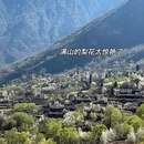 阿坝旅游 缩略图 3