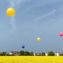 芜湖旅游 缩略图 3