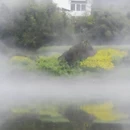 黄山旅游 缩略图 10