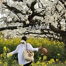 阿坝旅游 缩略图 4