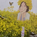 黄山旅游 缩略图 8