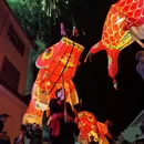 黄山旅游 缩略图 9