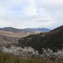 成都旅游 缩略图 7