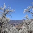 成都旅游 缩略图 9
