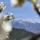 阿坝旅游 缩略图 2