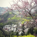 黄山旅游 缩略图 3
