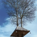 阿坝旅游 缩略图 8