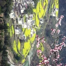 黄山旅游 缩略图 1