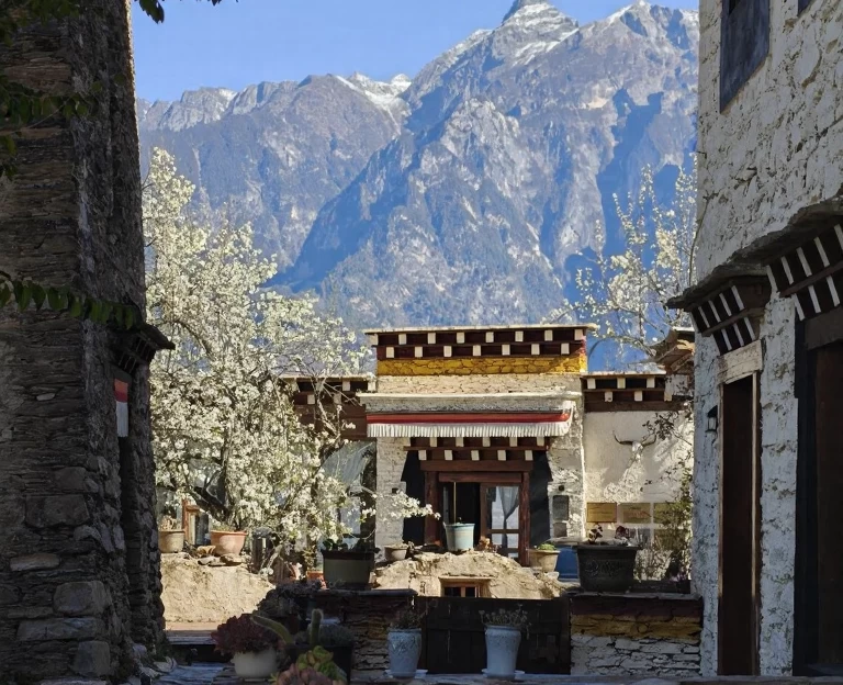 阿坝旅游 1