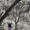 阿坝旅游 缩略图 7