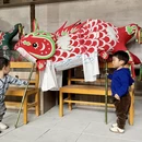 黄山旅游 缩略图 11