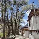 阿坝旅游 缩略图 16